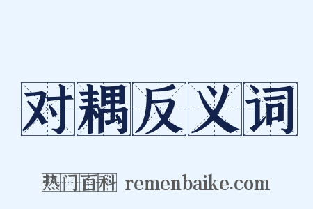 对耦反义词是什么意思的图片